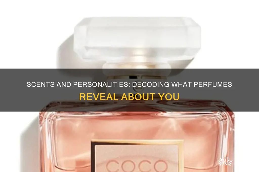 what perfumes say about a person