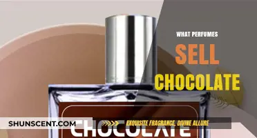 Scents of Indulgence: Perfumes That Capture the Essence of Chocolate