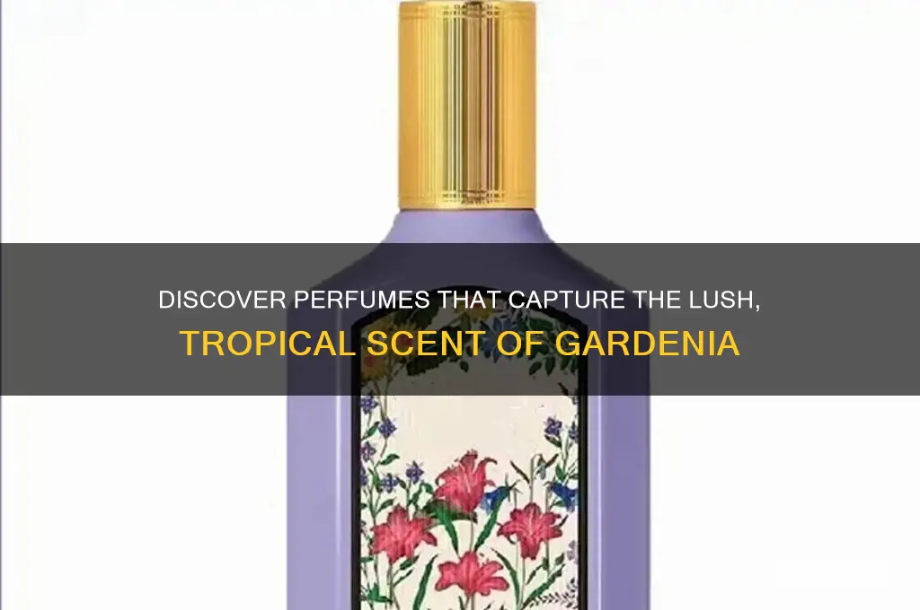 what perfumes semll like gardinia