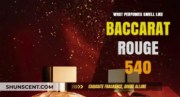 Explore Scents Similar to Baccarat Rouge 540