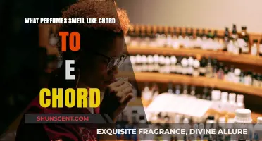 Explore the Scents of Chord e Chord