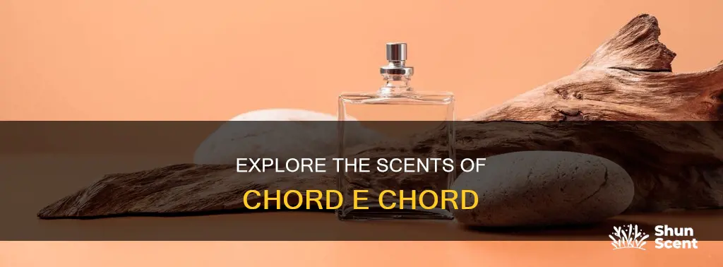 what perfumes smell like chord to e chord