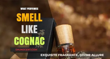 Cognac-Inspired Scents: Exploring Similar Aromas in Perfumes