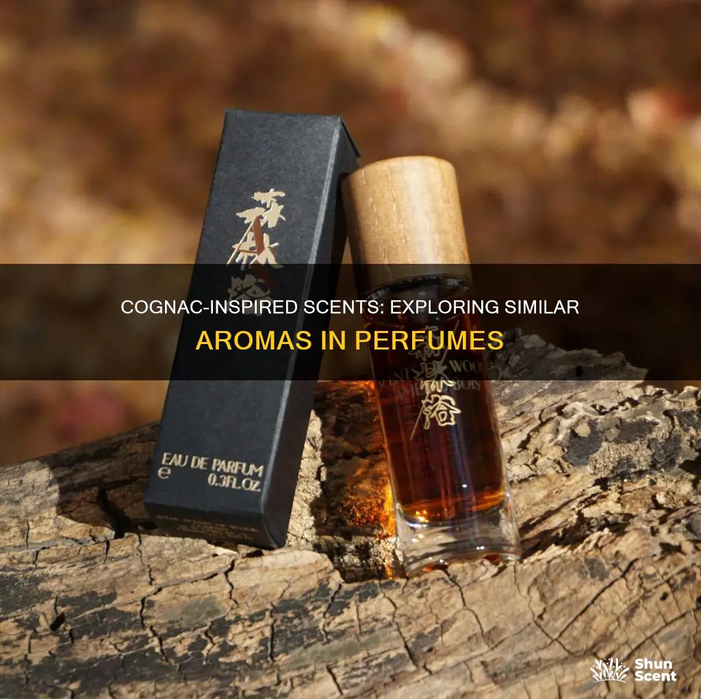 what perfumes smell like cognac