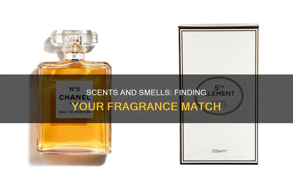 what perfumes smell like mine