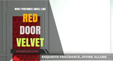 Similar Scents: Red Door Velvet and Its Perfume Cousins