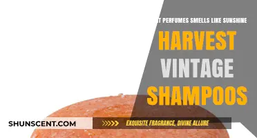 Sunshine Scents: Vintage Shampoos and Perfumes