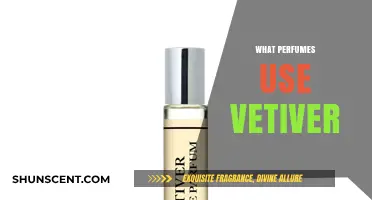 Vetiver's Allure: Discover Perfumes Featuring This Earthy, Sophisticated Note