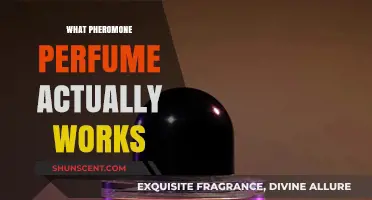 Discover the Best Pheromone Perfumes That Truly Enhance Attraction