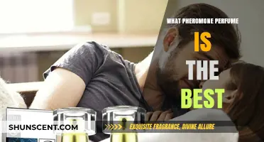 Discover the Top Pheromone Perfumes for Instant Attraction and Confidence