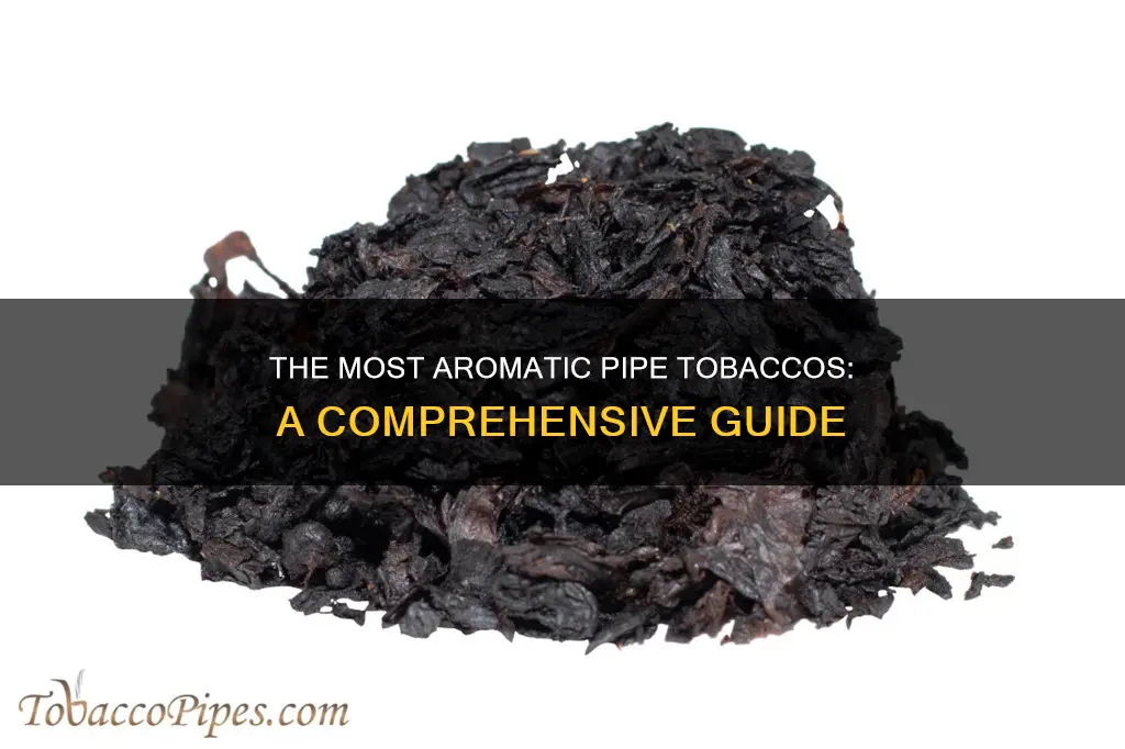 what pipe tobacco has the strongest aroma