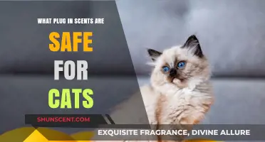 Cat-Safe Plug-In Scents: Choosing Pet-Friendly Aromas for Your Home