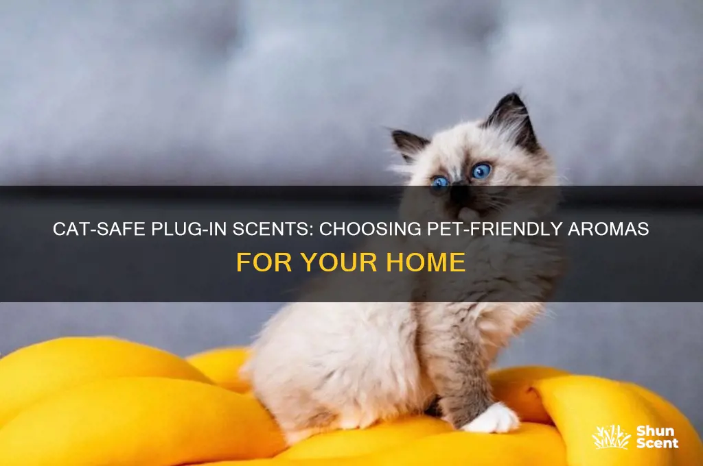 what plug in scents are safe for cats