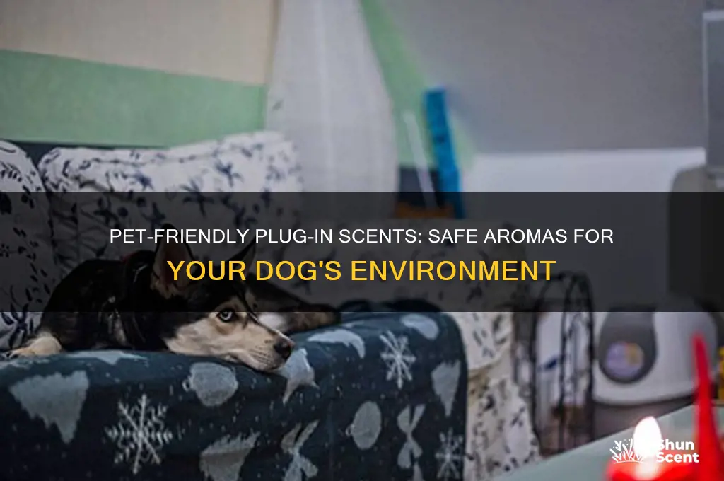 what plug in scents are safe for dogs