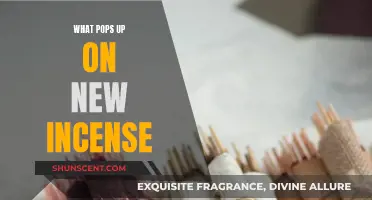 New Incense Scents: What's Fresh and Trending?