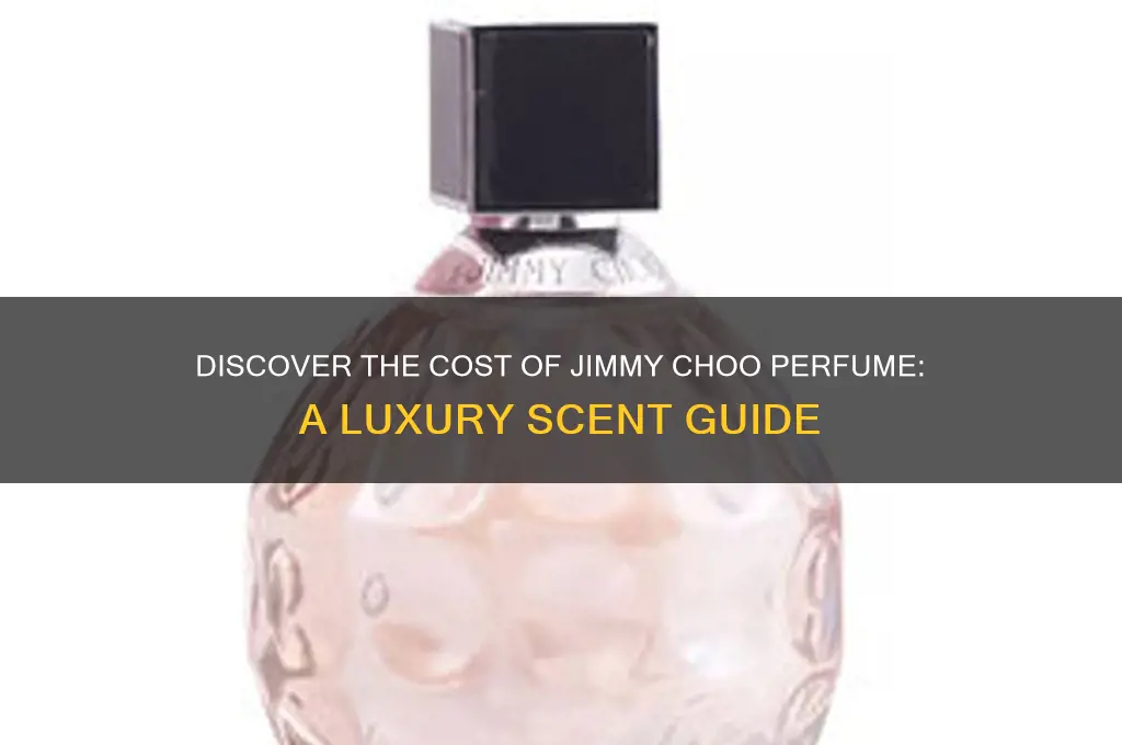 what price is jimmy choo perfume