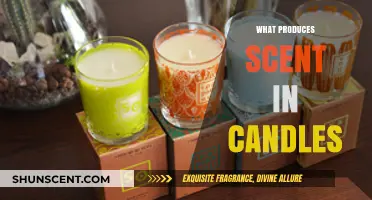 Unveiling the Aromatic Secrets: What Produces Scent in Candles