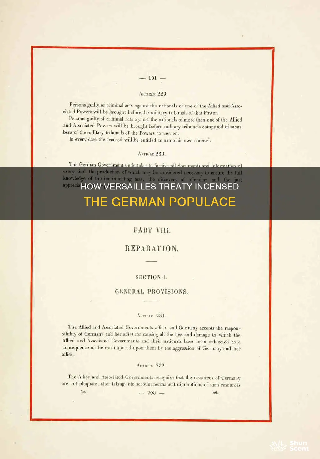 what provisions incensed the german populace made them mad