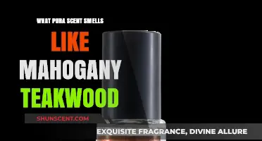 Mahogany Teakwood Scent Profile: Unveiling Pura's Warm, Woody Fragrance
