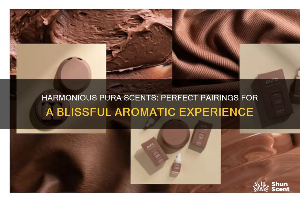 what pura scents go together