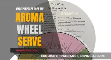 The Aroma Wheel: Understanding Scents and Their Purposes