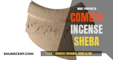 The Ancient Mystery of Sheba's Incense