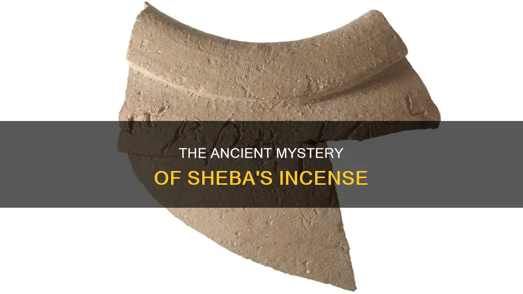 what purposeth cometh incense sheba