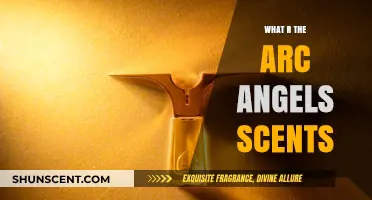 Exploring the Divine Aromas of Arc Angels Scents: A Guide