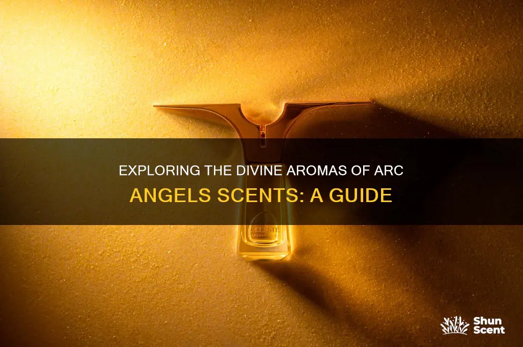 what r the arc angels scents