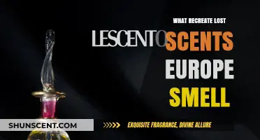 Recreating Europe's Lost Scents: A Journey Through History and Fragrance