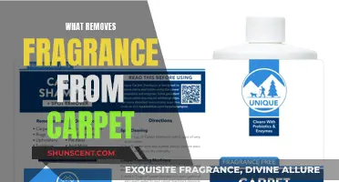 Eliminating Lingering Fragrances: Reviving Your Carpet's Freshness