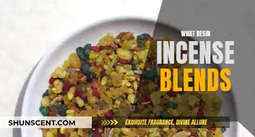 Explore the Ancient Art of Resin Incense Blending