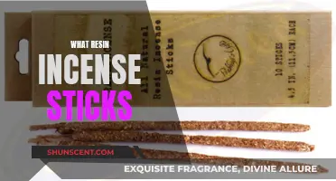 The Best Resin Incense Sticks for Your Home