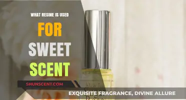 Discover the Sweet-Scented Resin Used in Perfumery and Aromatherapy