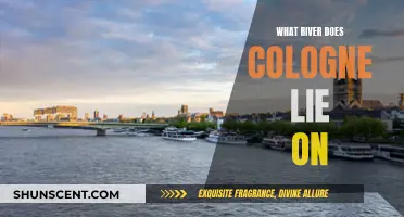 Cologne's Historical Relationship with the Rhine River