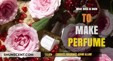The Best Roses for Perfume Extraction
