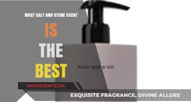 Discover the Best Salt and Stone Scent for Your Lifestyle