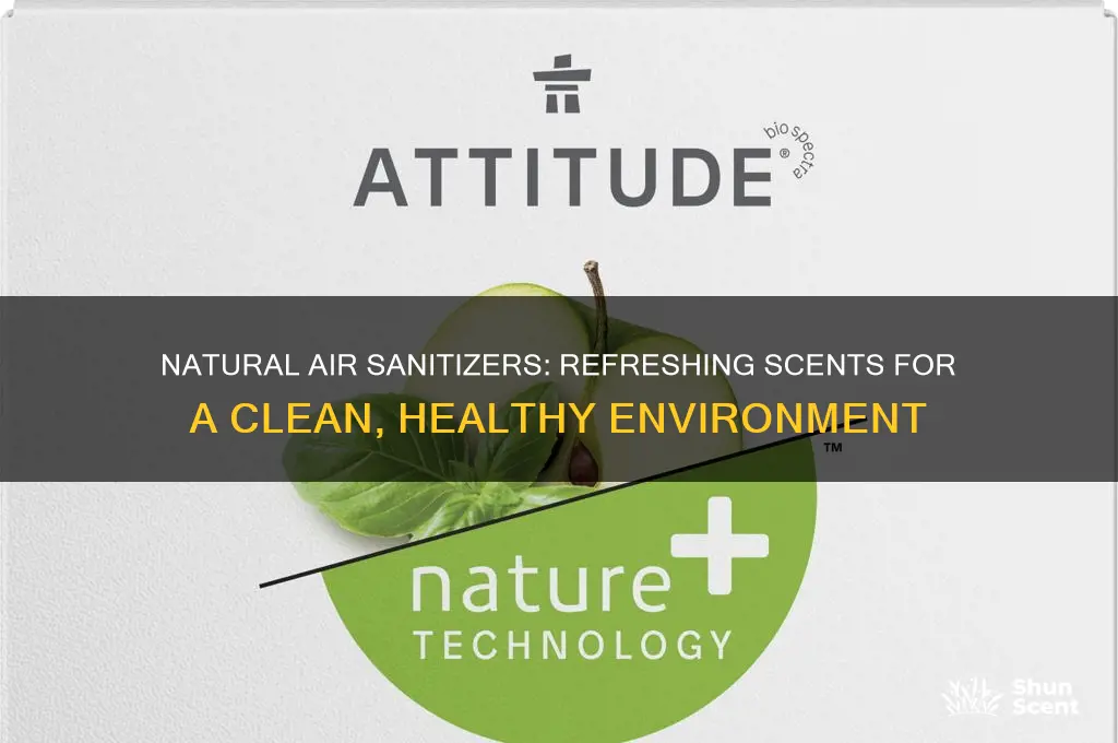 what sanitizes the air while giving it a refreshing scent