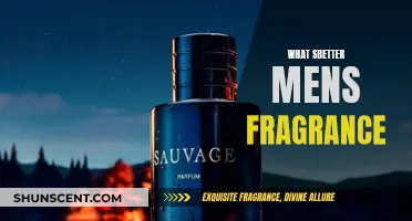 The Best Men's Fragrances: A Guide to Finding Your Scent