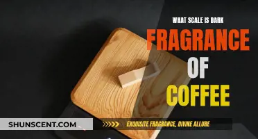The Dark Fragrance of Coffee: An Intense, Bitter Aroma
