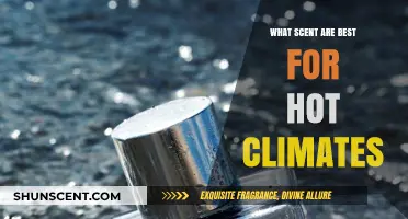 Cooling Aromas: Best Scents to Beat the Heat in Hot Climates