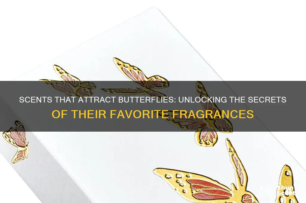 what scent are butterflies attracted to