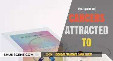 Cancer's Aromatic Allure: Scents That Attract and Intrigue the Zodiac Sign