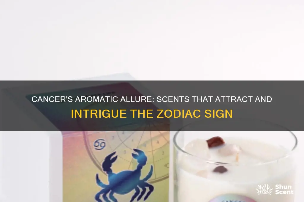 what scent are cancers attracted to