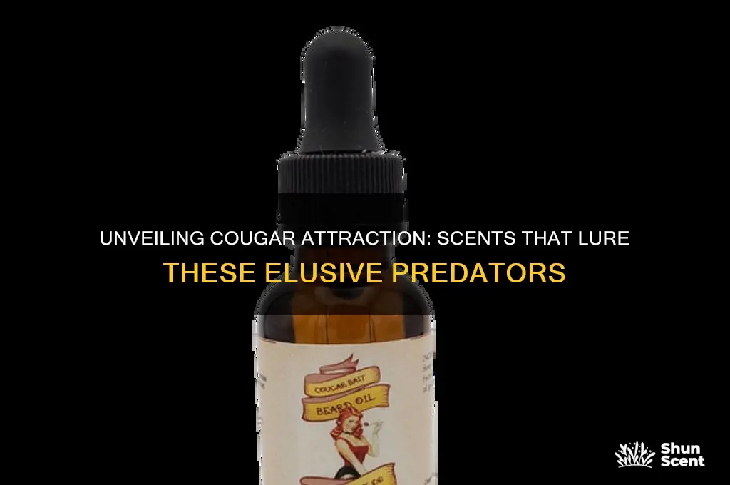what scent are cougar