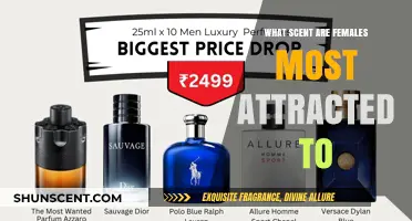 The Most Irresistible Scents: What Women Find Most Attractive