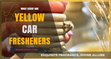Unveiling the Mystery: What Scent Do Yellow Car Fresheners Emit?