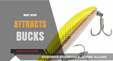 Unveiling the Ultimate Buck Lure: Scents That Attract Deer Effectively