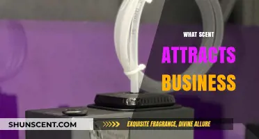 Scents of Success: How Fragrance Influences Business Attraction and Growth