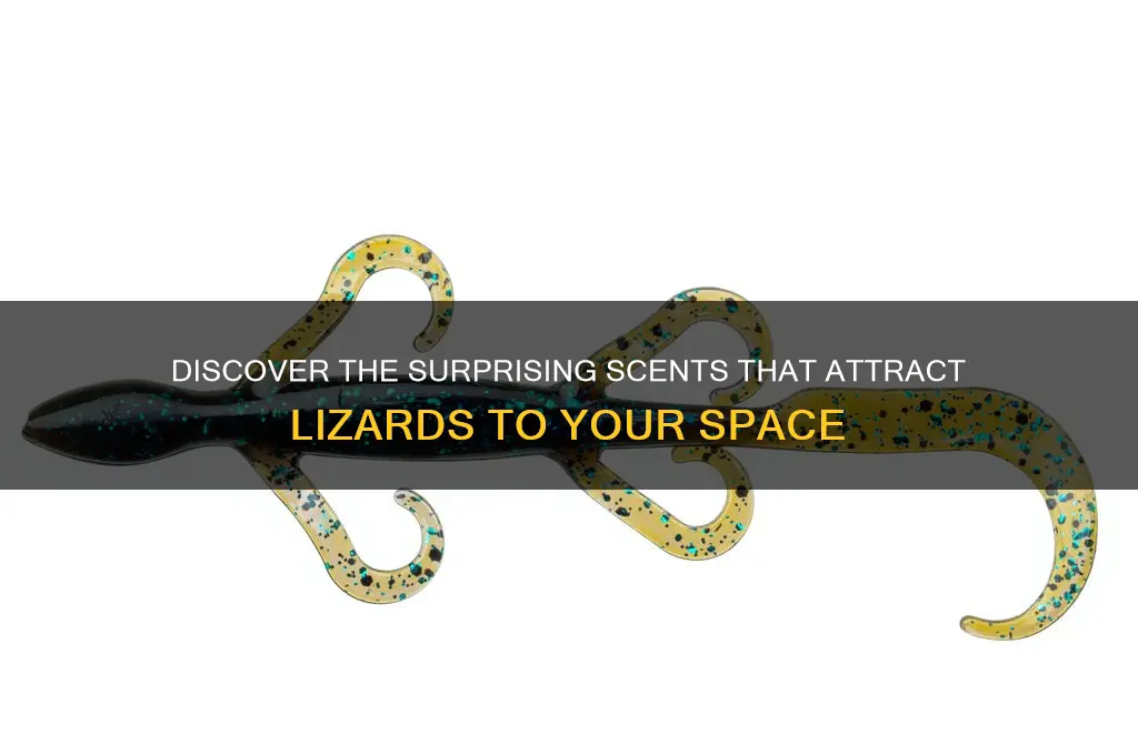 what scent attracts lizards